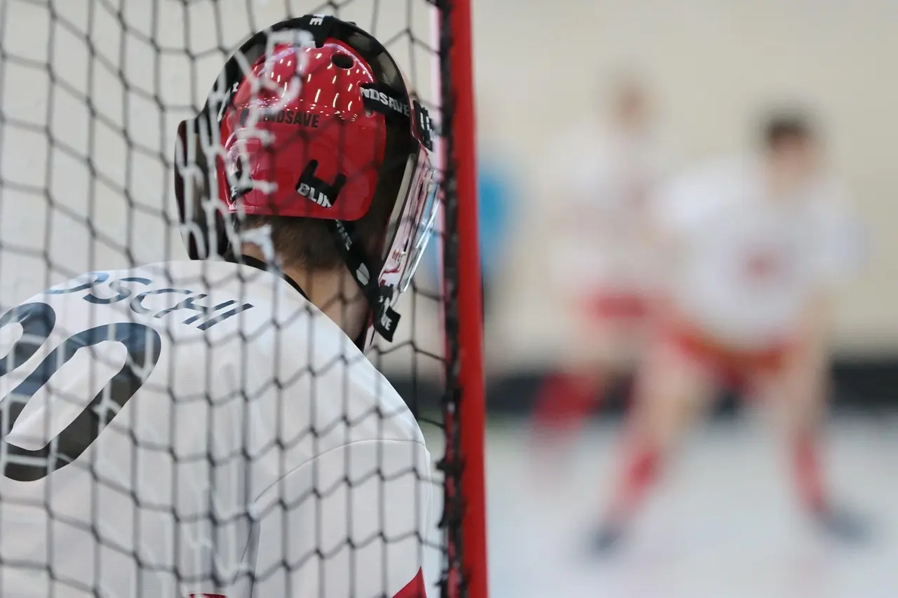 Målmand bag net
